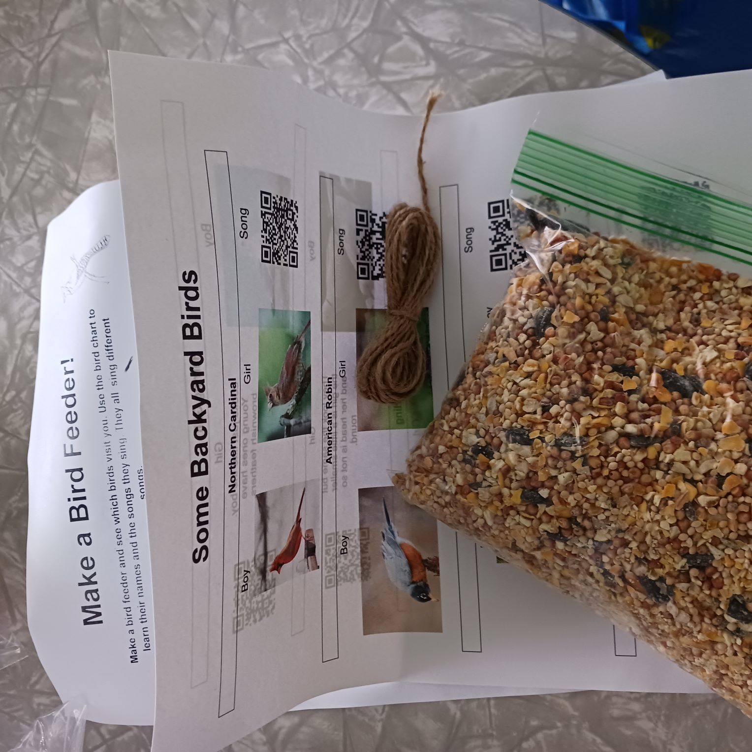 bird feeder kit