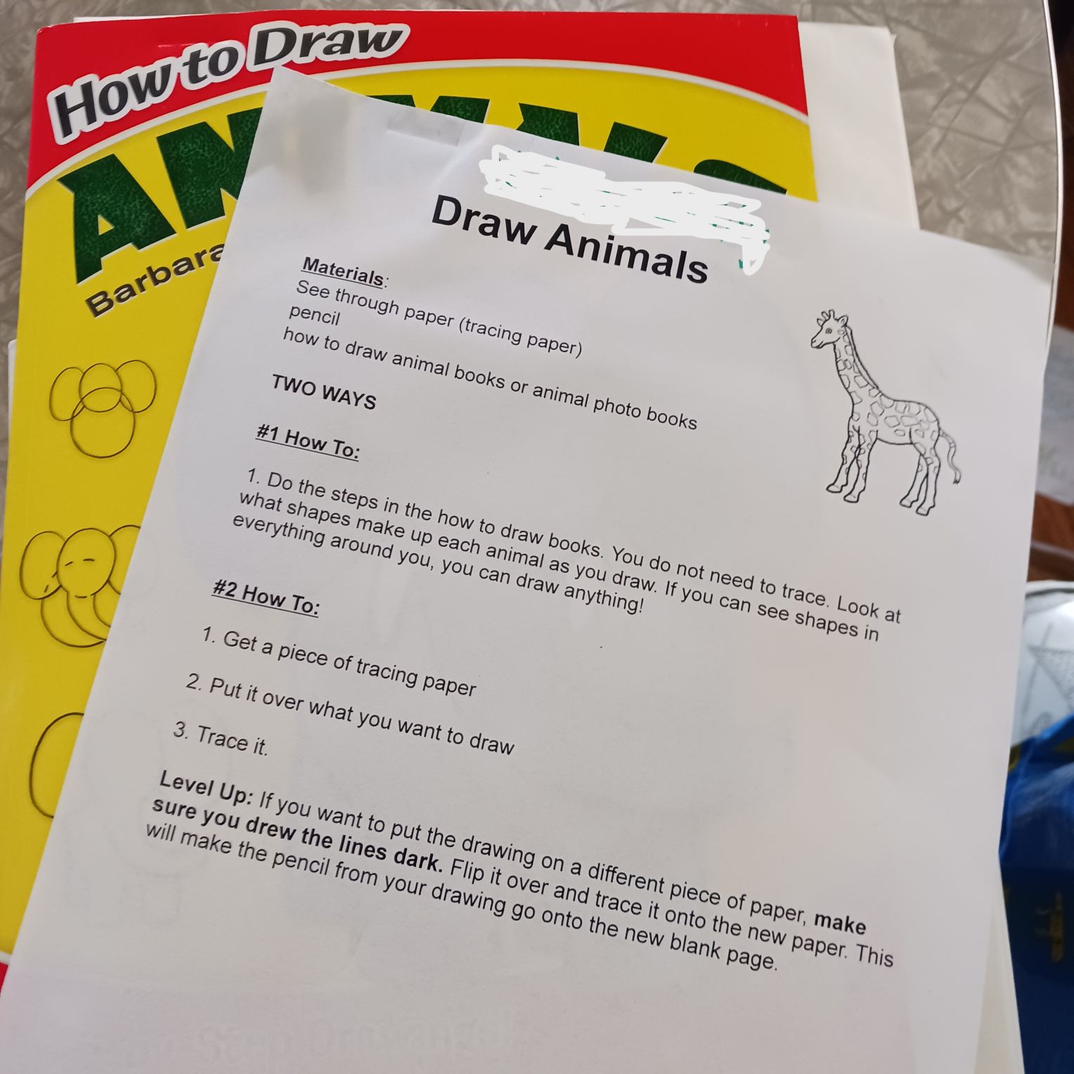draw animals kit
