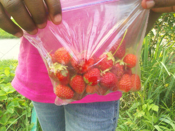 strawberriespp